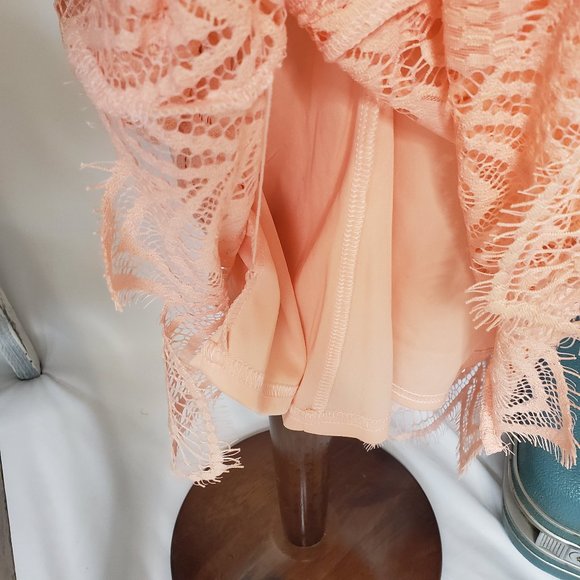 Peach Pink Sharagano Lace Midi Dress - Sz 6 (NWT) - Picture 10 of 15